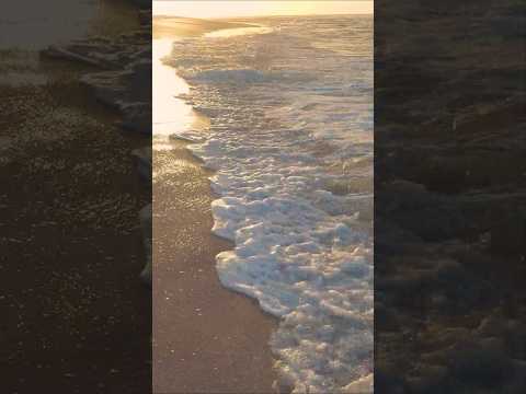 😌Soothing Beach Sounds for Stress Relief