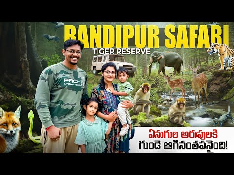 Experience the THRILL of Bandipur Tiger Safari | Elephant Attack | Bandipur Safari in Telugu