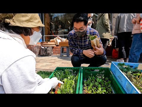 🗼여기 프랑스 아닌가요!? 서울 도심 한복판 [농부시장 마르쉐👩‍🌾] (1/2) [Farmer's Market, Marchét]