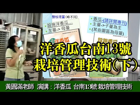 洋香瓜台南13號 栽培管理技術(下) 黃圓滿老師