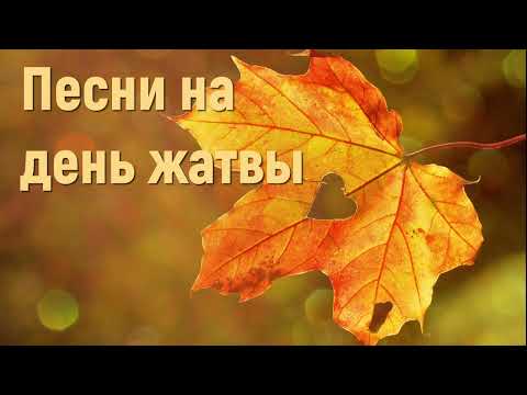 Песни на день жатвы - Праздник жатвы #деньблагодарения #праздникжатвы #христианскиепесни