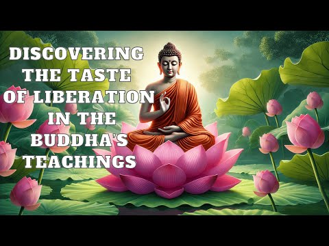 Discovering the Taste of Liberation in the Buddha’s Teachings.