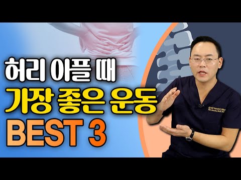 허리 통증 운동? 헷갈린다면 다 필요없고 딱 이 3가지 운동만 기억하세요 - 제애정형외과 서희수 원장 12회 #허리통증 #허리디스크 #허리협착증 #허리통증운동 #허리스트레칭