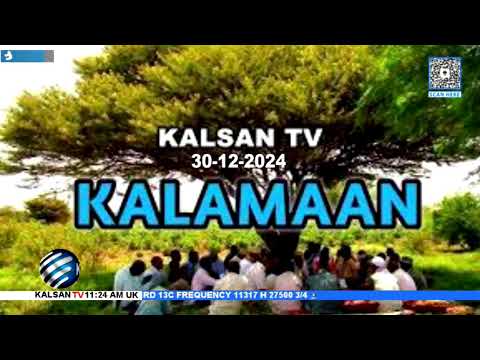 Wararka Duhurnimo Telefishinka Kalsan TV 31-12-2024.