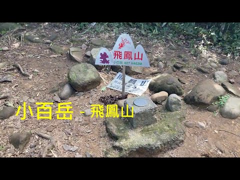 小百岳：飛鳳山