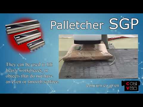 SGP Palletcher System