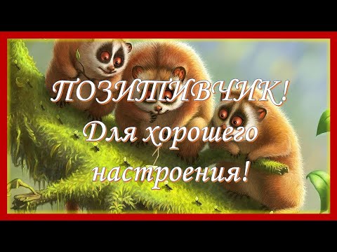 ПОЗИТИВЧИК! Для хорошего настроения! Красивое Пожелание Хорошего Настроения