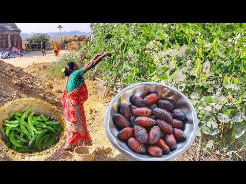 Uniq insect recipe and Sim vaji cooking & eating by santali tribe old grandmaa