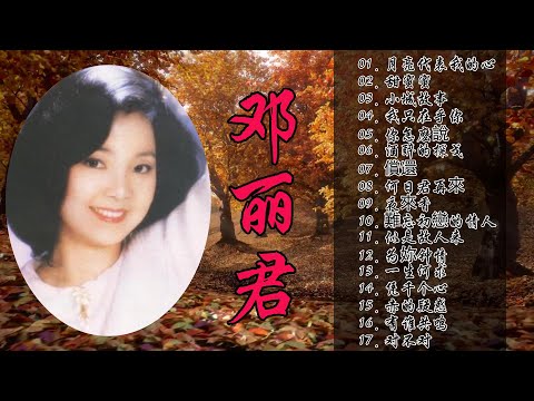 鄧麗君 Teresa Teng - 永恒鄧麗君柔情經典 【月亮代表我的心/甜蜜蜜/小城故事/我只在乎你/你怎麽說/酒醉的探戈/償還/何日君再來/夜來香/難忘初戀的情人 】