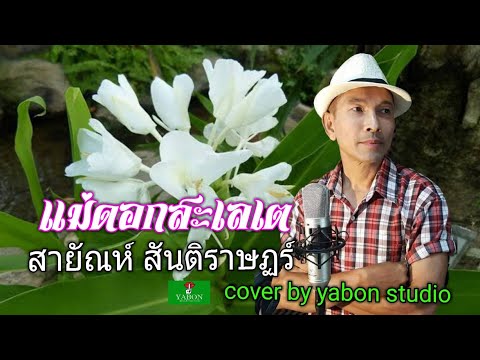 แม่ดอกสะเลเต [Cover by YABON & สายัณห์ สันติราษฎร์ ] เพลงนี้้ทำขึ้นเพื่ออนุรักษ์