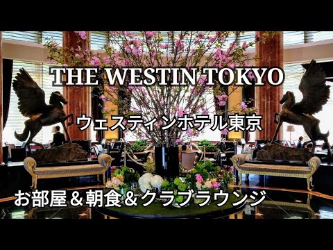 【ウェスティンホテル東京】宿泊レビューお部屋＆朝食ビュッフェ＆クラブラウンジ～マリオットボンボイプラチナ特典もご紹介♪～龍天門の担々麺がおすすめの朝食ビュッフェ☆THE WESTIN TOKYO