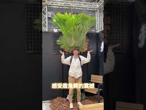 水美園登場啦！明天還有一天趕緊安排！要不要養顆俗頭！？