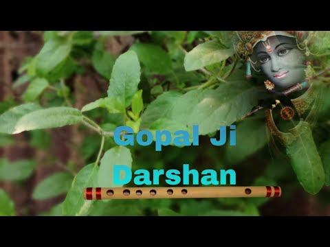 Tulsi Maharani ke darshan Jay Shri Krishna