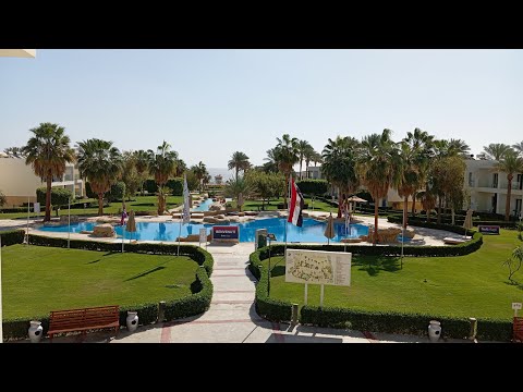 Amphoras beach resort Шарм-эль-Шейх 2024. Отдых в Египте