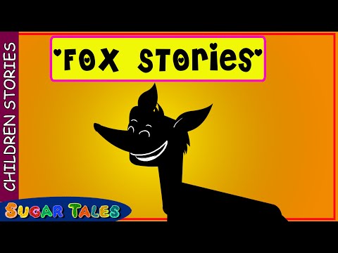 FOX STORIES