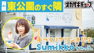 【岡崎市東公園のすぐ隣】手作りプリン専門店「Sumikko –すみっコ。-」【岡崎市欠町】