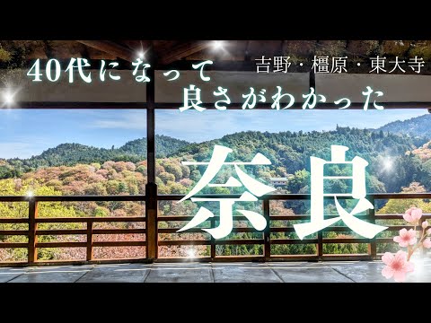 40代になって良さがわかった【奈良】吉野・金峯山寺・かしはら今井町・東大寺　2024.04