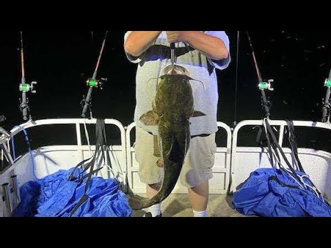 Fishing on the Lake with Big Catfish Caught!