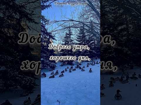 Доброе утро. Прекрасный день, исп. ансамбль Поющие сердца #доброеутро #поющиесердца #прекрасныйдень