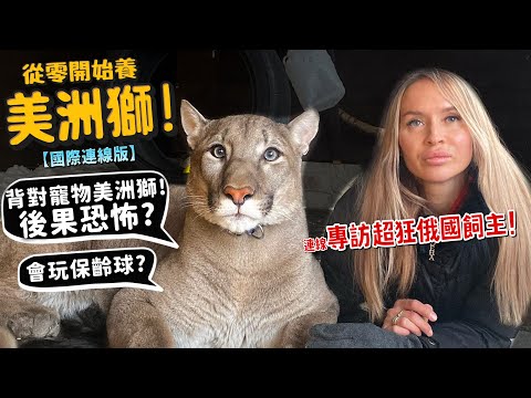 【從零開始養】寵物美洲獅!連線專訪超狂俄國飼主!背對寵物美洲獅後果恐怖?可以嘴對嘴餵食?居然會玩保齡球?超豪華籠子開箱!【許伯簡芝】【國際連線版】@puma_london