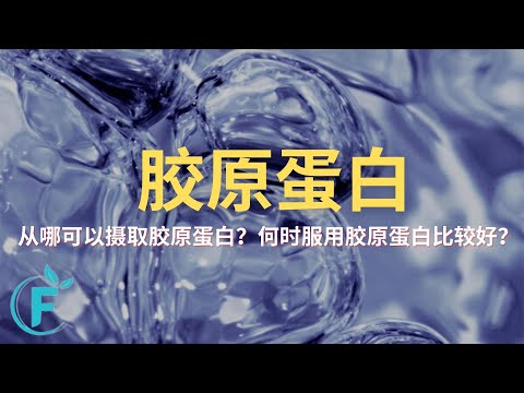 胶原蛋白要从哪获取？ |【胶原蛋白】花生健康医药 EP109