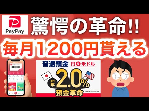 PayPay放置で毎月1200円貰える新キャンペーン‼︎【預金革命】