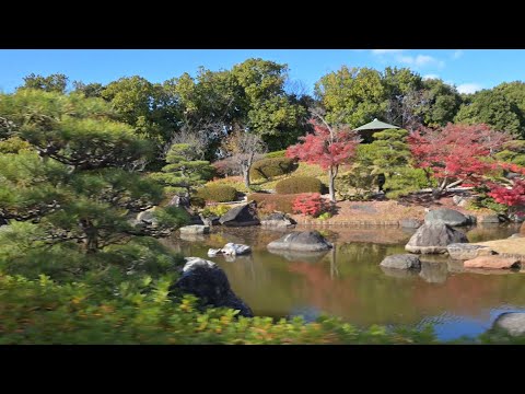 今年最後の紅葉／大仙公園の日本庭園