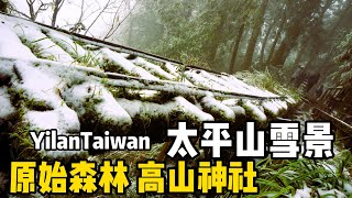 要衝了嗎? 太平山追雪 見晴懷古步道及原舊日本時代日本人祀奉天照大御神之神社【夢幻雪景】