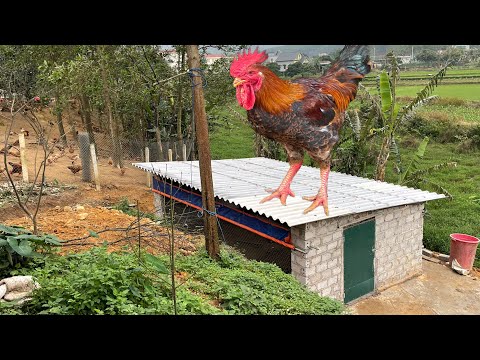 Full video on how to build a simple small chicken coop.