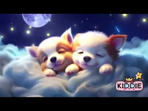 Dreamy Lullabies with Dog Pictures | 2 Hours Sleep Music for Babies to Sleep Instantly in 5 Minutes