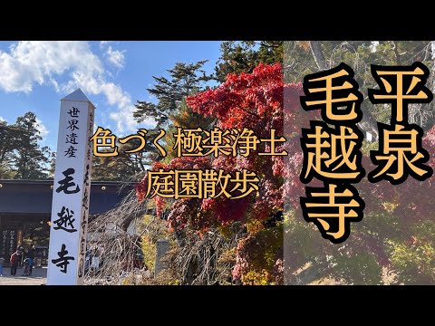 【岩手観光】平泉秋の毛越寺