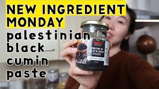 TRYING PALESTINIAN BLACK CUMIN PASTE | NEW INGREDIENT MONDAYS!! (Habatul-Baraka  قزحة Qizha)