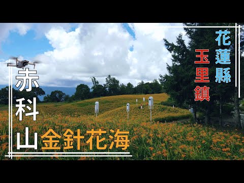 [花蓮縣．玉里鎮] 赤科山金針花海 (空拍)