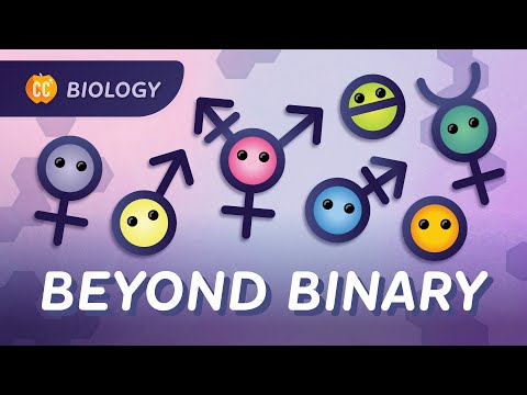 Gender, Sex, & Sexuality: What’s the Difference?: Crash Course Biology #48