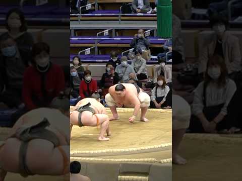 3 MORE Epic Sumo Matches