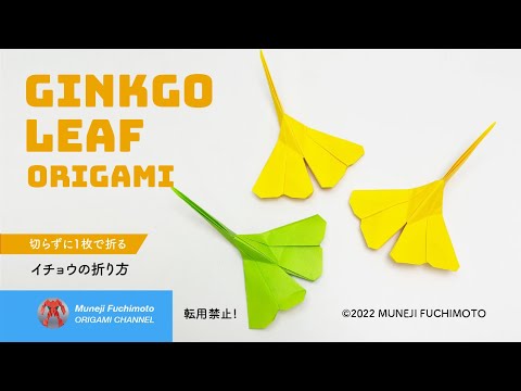 「折り紙」イチョウの葉（ginkgo leaf origami）の折り方