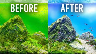 HOW TO Choose the Best Filter to Keep Your Aquarium Clean