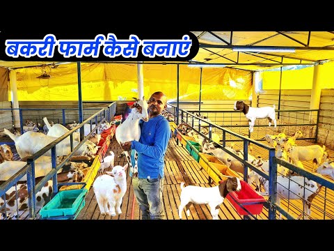 आधुनिक बकरी फार्म कैसे बनाएं | बकरी पालन से करोड़पति कैसे बने | Goat farming