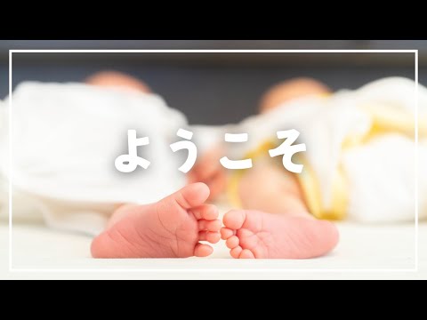 双子が我が家にやって来た！！女医の日常新たなスタート