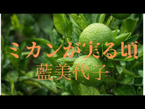 素晴らしい曲と素敵な歌声に感動です！🍊 ♪ミカンが実る頃　藍美代子　[ HD ]