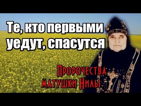 Пророчества старицы Нилы. Те, кто первыми уедут, спасутся