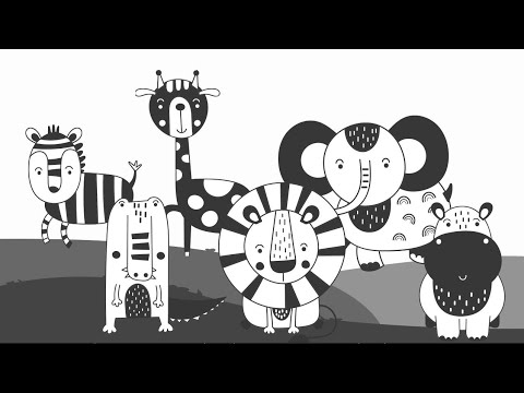 Peekaboo | Fun Baby Sensory video | High Contrast Black White | Classical music | Brain Development