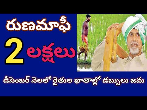 ap rythu runa mafi latest news || rythu runa mafi 2024 andhra pradesh latest news