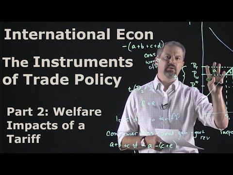 International Economics: The Instruments of Trade Policy: Part 2 - The Welfare Impacts of a Tariff