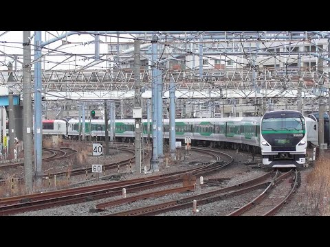 【東海道線】E257系5000番台　特急踊り子51号～56号　2023年2月