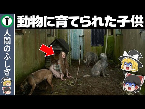 【ゆっくり解説】動物に育てられた子どもたち７選