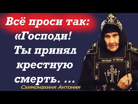 Встань, Подними глаза к Небу и Проси у Господа так: "Господи ты принял..."  Советы Матушки Антонии