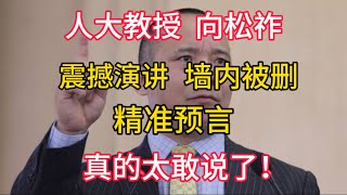 【人大教授 向松祚】震撼演讲，墙内被删，精准预言，真的太敢说了！