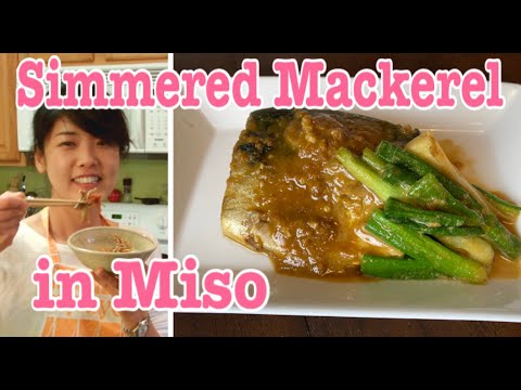 Simmered Mackerel in Miso (without music)