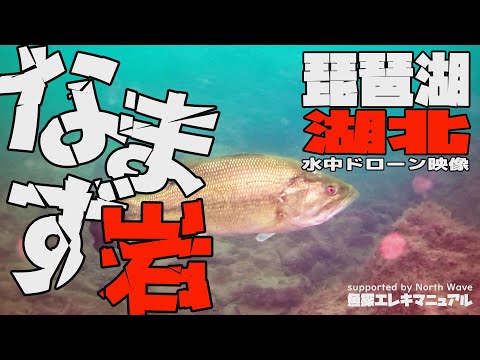 琵琶湖湖北　なまず岩を映してみた【魚探エレキマニュアル】